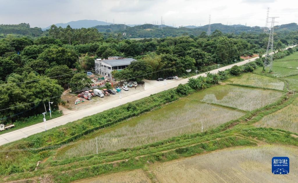 星鱼平台注册